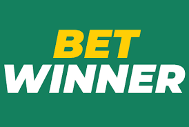 Unleashing the Thrill Exploring BetWinner Sportsbook